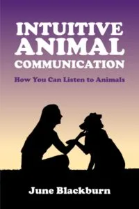 Junes book