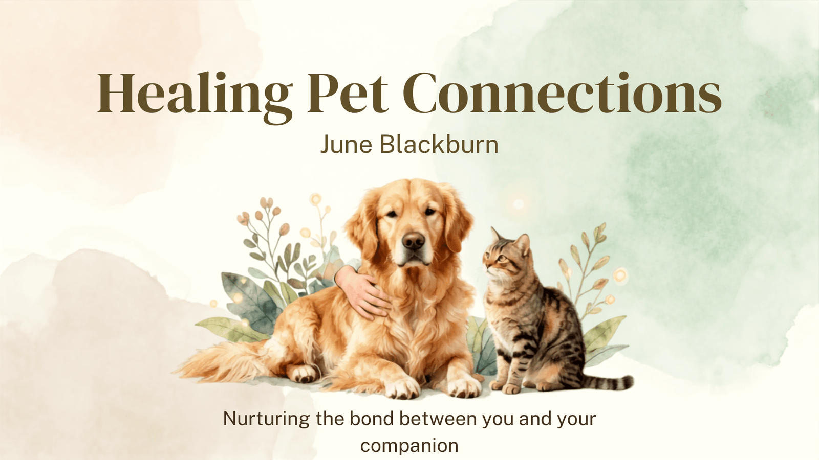 healing pet connections